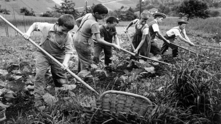 Bir medeniyetin kara lekesi: Verdingkinder