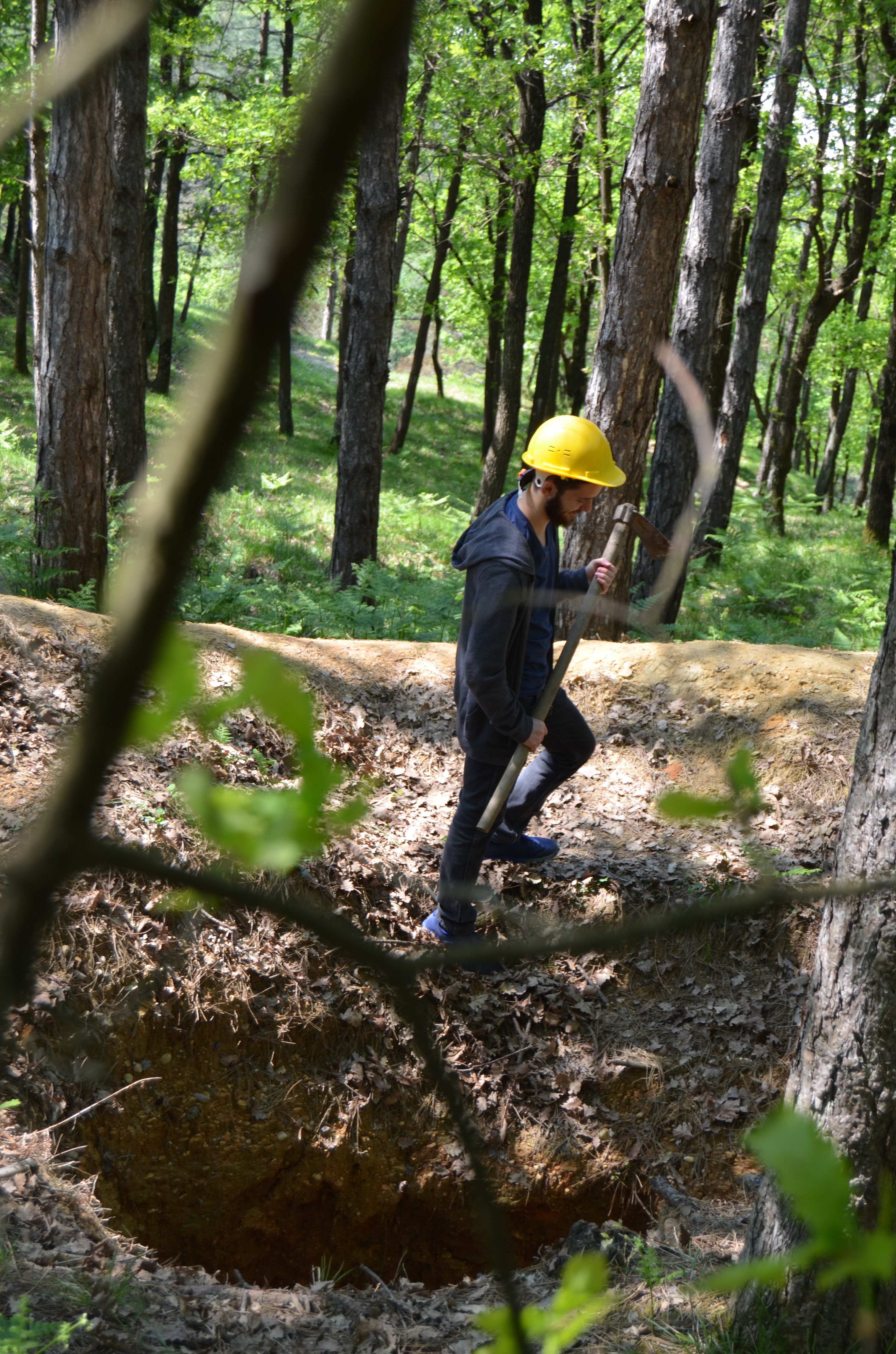 Define avcıları Belgrad ormanını delik deşik ettiler