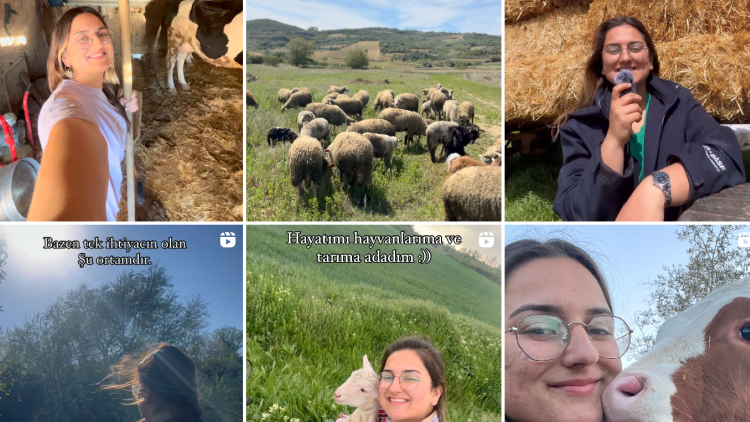 İnfluencer Nida Elif Selci, hayvancılığı sevdiriyor