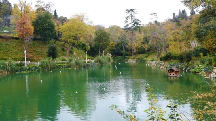 Yıldız Korusu'nda bir gezintiye var mısınız?