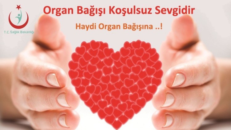 Organ nakli bekleyen hastaların sadece dörtte biri umuduna kavuşuyor