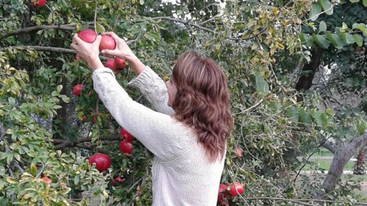 Organik tarımsal üretimde on sekizinci sıradayız