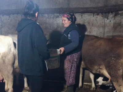 İstanbul’un Şile ilçesi Satmazlı köyünde yaşayan Fatma Pekşen, Şile’ye gelin geldikten sonra hayvancılığa başladı.