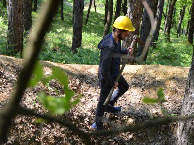 Belgrad ormanı delik deşik