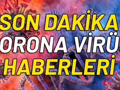 Halka, Koronavirüs haberleri ile ilgili düşüncelerini sorduk