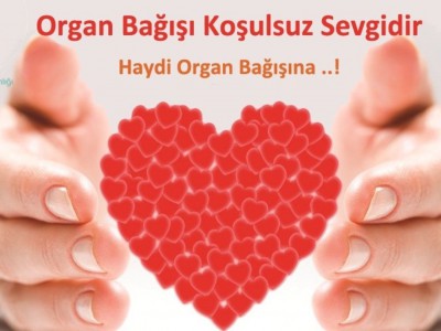 Organ nakli bekleyen hastaların sadece dörtte biri umuduna kavuşuyor