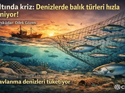 yanlış avlanma hakkında