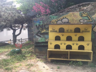 Üsküdar halkı sokak hayvanlarını unutmadı